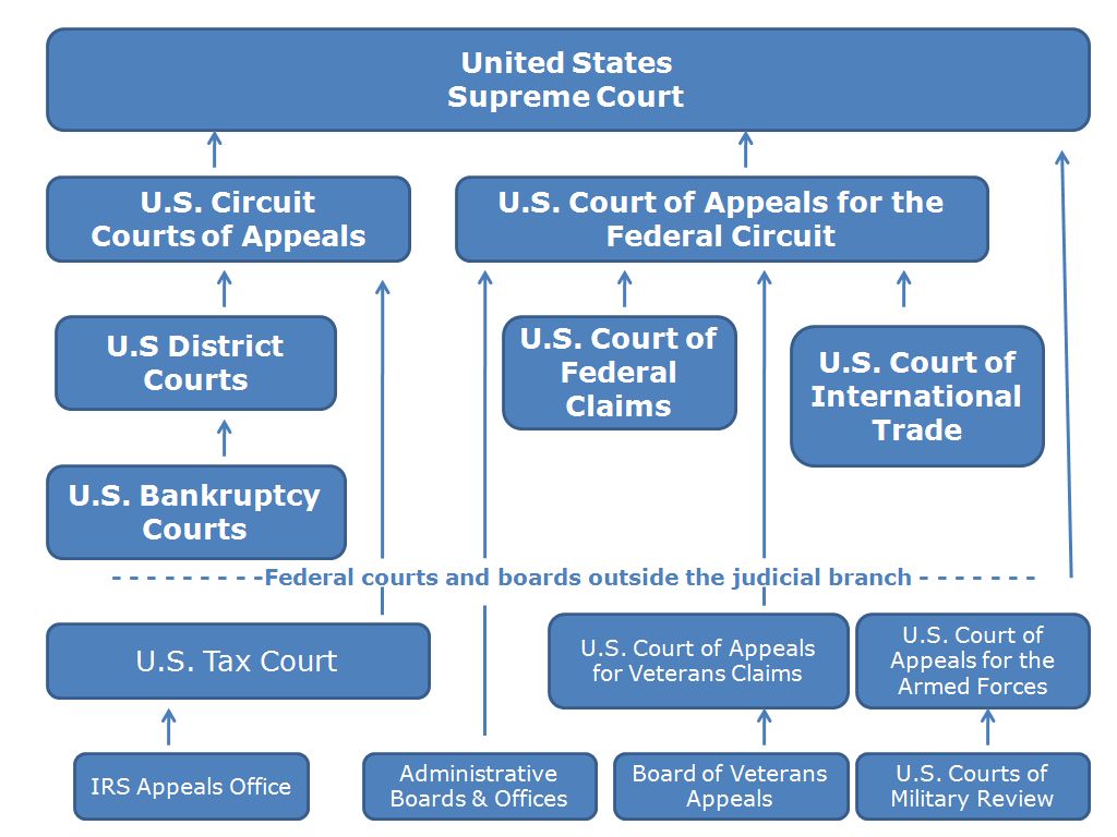 United States Legal System